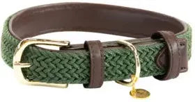 Kentucky Hundehalsband aus geflochtenem Nylon Grün Größe S 42cm - 42 cm – Bild 1 von 8