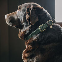 Produktbild von Kentucky Hundehalsband aus geflochtenem Nylon in Grün Größe M/L 58 cm
