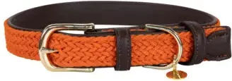 Produktbild von Kentucky Hundehalsband aus geflochtenem Nylon in Orange Größe XL