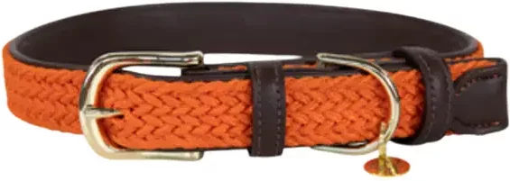 Kentucky Hundehalsband aus geflochtenem Nylon in Orange mit Kunstleder Grösse L – Bild 1 von 1