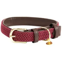 Produktbild von Kentucky Hundehalsband aus geflochtenem Nylon in Rot-Gold Größe S 42cm