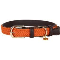 Produktbild von Kentucky Hundehalsband aus geflochtenem Nylon und Kunstleder in Orange Größe S