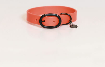 Kentucky Hundehalsband aus Gummi wasserdicht Orange M/L – Bild 1 von 1