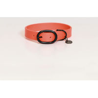 Produktbild von Kentucky Hundehalsband aus Gummi wasserdicht Orange M/L