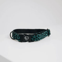 Produktbild von Kentucky Hundehalsband aus Nylon in Grün
