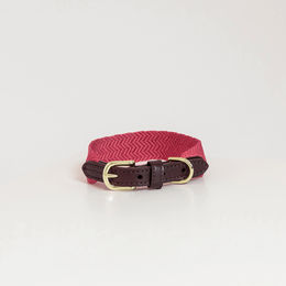 Kentucky Hundehalsband Jacquard Nylon Pink Größe S – Bild 1 von 1