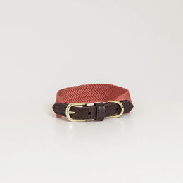 Kentucky Hundehalsband Jacquard Nylon Terrakotta Größe M - 50 cm – Bild 1 von 1