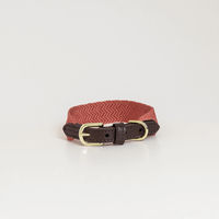 Produktbild von Kentucky Hundehalsband Jacquard Nylon Terrakotta Größe S