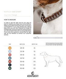 Kentucky Hundehalsband Triangle aus Kunstleder Braun Größe XS 31cm – Bild 1 von 7