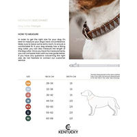 Produktbild von Kentucky Hundehalsband Triangle aus Kunstleder Braun Größe XS 31cm