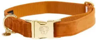 Kentucky Hundehalsband Velvet Orange XS 25-38cm – Bild 1 von 7