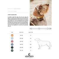 Produktbild von Kentucky Hundehalsband Velvet Rosa XS 18-26cm
