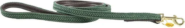 Kentucky Hundeleine aus geflochtenem Nylon in Grün 120 cm – Bild 1 von 1