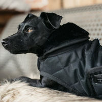 Produktbild von Kentucky Hundemantel Schwarz für Dackel Mini aus Polyester - 160 g