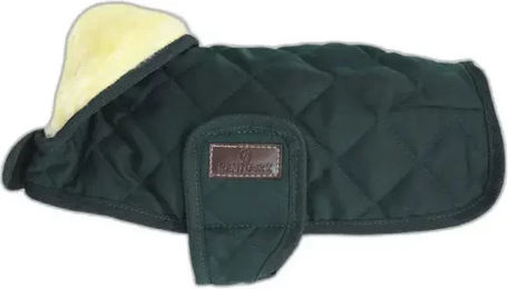 Kentucky Hundemantel Winter für kleine Hunde aus Polyester in Grün oder Blau - 160 g – Bild 1 von 6