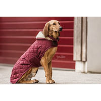 Produktbild von Kentucky Hundemantel Winter Rot XXL
