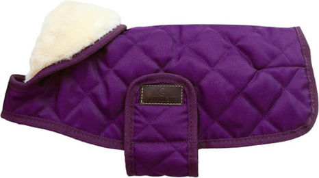 Kentucky Hundemantel Winterjacke für Dackel in Lila aus Polyester - 160 g – Bild 1 von 1