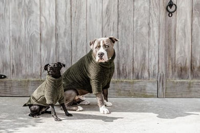 Kentucky Hundepullover Teddy Fleece Tannengrün Größe S/M für erwachsene Hunde – Bild 1 von 8