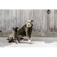Produktbild von Kentucky Hundepullover Teddy Fleece Tannengrün Größe S/M für erwachsene Hunde