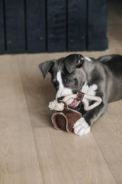 Kentucky Hundespielzeug Baseball aus GOTS-zertifizierter Baumwolle Braun – Bild 1 von 4