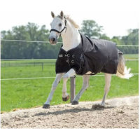 Produktbild von Kentucky Kavalkade Alaska IV Outdoordecke für Pferde aus Polyester in Schwarz und Grau
