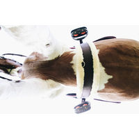 Produktbild von Kentucky Lammfell Sattelgurt aus Nylon Schwarz
