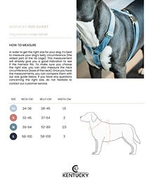Kentucky Lauf Hundegeschirr Sportgeschirr Grün Größe M 52-89cm – Bild 1 von 7