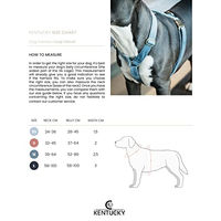 Produktbild von Kentucky Lauf Hundegeschirr Sportgeschirr Grün Größe M 52-89cm