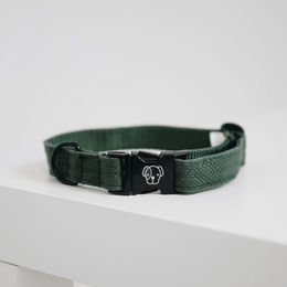 Kentucky Lizard Hundehalsband aus Mikrofasermaterial Olivgrün Größe M – Bild 1 von 1