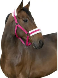 Kentucky Norton Comfort Gepolstertes Pferdehalfter aus Polyester in Himbeerrot/Rosa für Warmblut – Bild 1 von 2