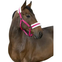Produktbild von Kentucky Norton Comfort Gepolstertes Pferdehalfter aus Polyester in Himbeerrot/Rosa für Warmblut