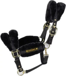 Kentucky Nylon Halfter mit weichem Lammfell in Schwarz – Bild 1 von 6