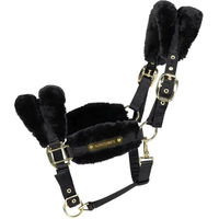 Produktbild von Kentucky Nylon-Pferdehalfter für Shettys mit Schafsfell in Schwarz und Gold