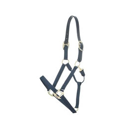 Kentucky Pony Halfter aus Nylon mit Breakaway-Funktion in Blau und Gold – Bild 1 von 7