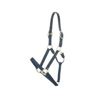 Produktbild von Kentucky Pony Halfter aus Nylon mit Breakaway-Funktion in Blau und Gold