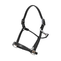 Produktbild von Kentucky Pony Halfter aus schwarzem Büffelleder