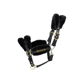 Kentucky Pony Nylonhalfter mit Lammfell Soft in Schwarz – Bild 1 von 12