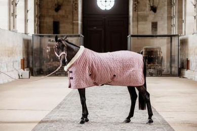 Kentucky Präsentationsdecke für Pferde aus Velours in Rosa - 160 g – Bild 1 von 5