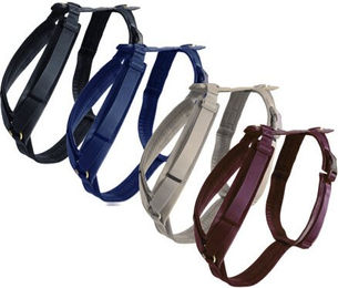 Kentucky Sportgeschirr Active Velvet für Hunde Blau XS 22-36cm – Bild 1 von 10