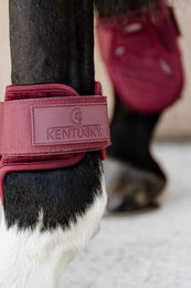 Kentucky Streichkappe Young Horse Velvet Bordeaux Rot Velours Größe S – Bild 1 von 4
