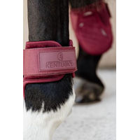 Produktbild von Kentucky Streichkappe Young Horse Velvet Bordeaux Rot Velours Größe S