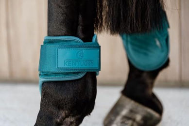 Kentucky Streichkappe Young Horse Velvet Emerald in Grün Türkis Größe S aus Velours – Bild 1 von 2