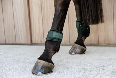 Kentucky Streichkappe Young Horse Velvet in Dunkelgrün Größe L – Bild 1 von 3