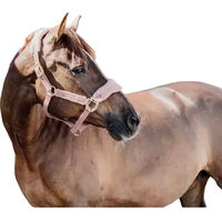 Produktbild von Kentucky Teddy Fleece Halfter für Ponys in Rosa mit Gold