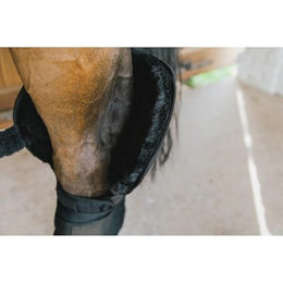 Kentucky Transport- und Stallbandagierunterlagen mit Sprunggelenkschutz und Gamaschen aus Wolle in Schwarz für Warmblut/WB – Bild 1 von 13