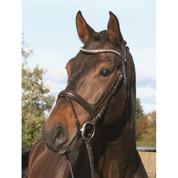Produktbild von Kentucky Trense aus Leder