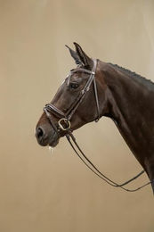 Kentucky Trense mit breitem schwedisch-kombiniertem Lackreithalfter aus Leder – Bild 1 von 3