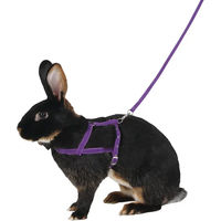 Produktbild von Kerbl Agility Schultergeschirr mit 2m Leine für Nager und Kaninchen Lila Größe L - 1 Stk.