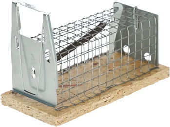 Kerbl Alive Rattenreuse aus PEFC-zertifiziertem Holz für Ratten und Mäuse – Bild 1 von 1