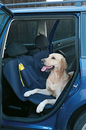 Kerbl Autoschondecke aus Nylon für Hunde in Blau oder Bunt – Bild 1 von 2